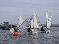 Opti-Race 2024