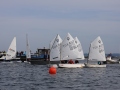 Opti-Race 2024