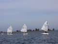 Opti-Race 2024