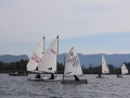 Opti-Race 2024