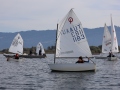 Opti-Race 2024