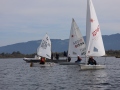 Opti-Race 2024