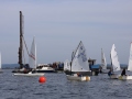 Opti-Race 2024
