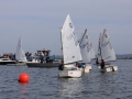 Opti-Race 2024