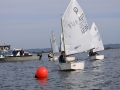 Opti-Race 2024