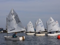 Opti-Race 2024