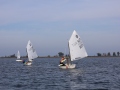 Opti-Race 2024