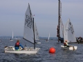 Opti-Race 2024