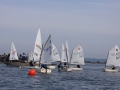 Opti-Race 2024