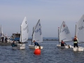 Opti-Race 2024