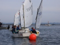 Opti-Race 2024