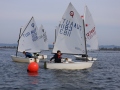Opti-Race 2024