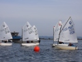 Opti-Race 2024