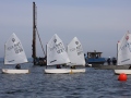 Opti-Race 2024