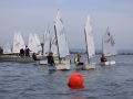 Opti-Race 2024