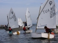 Opti-Race 2024