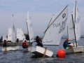 Opti-Race 2024