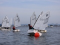 Opti-Race 2024