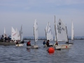 Opti-Race 2024