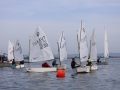 Opti-Race 2024