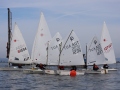 Opti-Race 2024