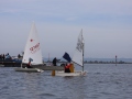 Opti-Race 2024