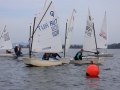 Opti-Race 2024