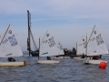 Opti-Race 2024