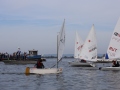 Opti-Race 2024