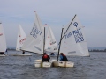 Opti-Race 2024