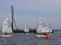 Opti-Race 2024