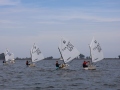 Opti-Race 2024