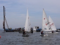 Opti-Race 2024