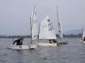 Opti-Race 2024