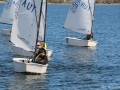 Opti-Race 2018 YCRhd