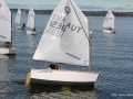 Opti-Race 2018 YCRhd