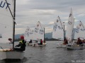 Opti-Race 22.9.2019