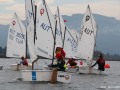 Opti-Race 22.9.2019