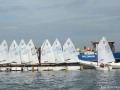 Opti-Race 22.9.2019