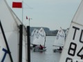 Opti-Race 22.9.2019