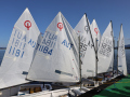 Opti-Race 2023