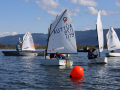 Opti-Race 2023