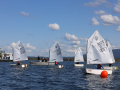 Opti-Race 2023