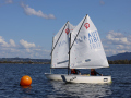 Opti-Race 2023