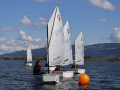 Opti-Race 2023