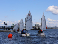 Opti-Race 2023