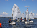 Opti-Race 2023