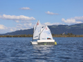 Opti-Race 2023