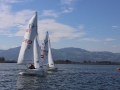 Opti- und Jollen-Race 2025
