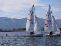 Opti- und Jollen-Race 2025